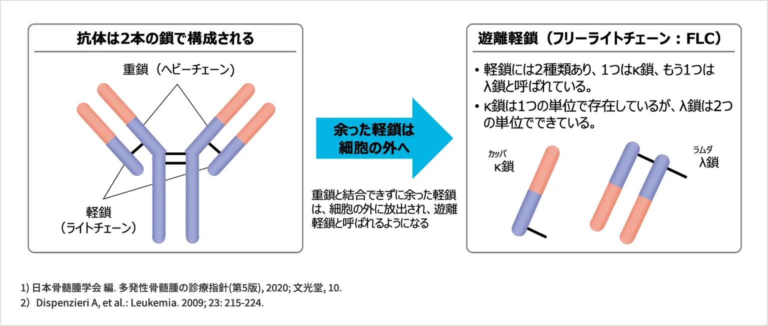 多発性骨髄腫の検査・診断 | 多発性骨髄腫の病態と診断、治療