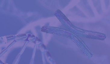 inner_bg_2