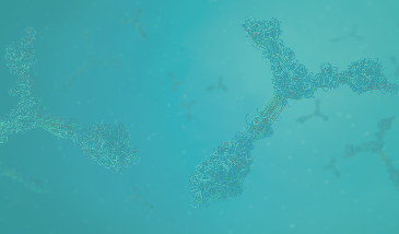 inner_bg_4